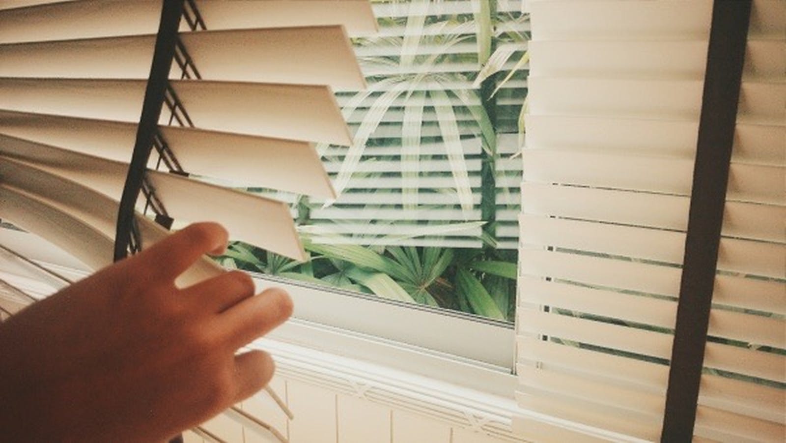Hand gently lifting white venetian blinds at a window