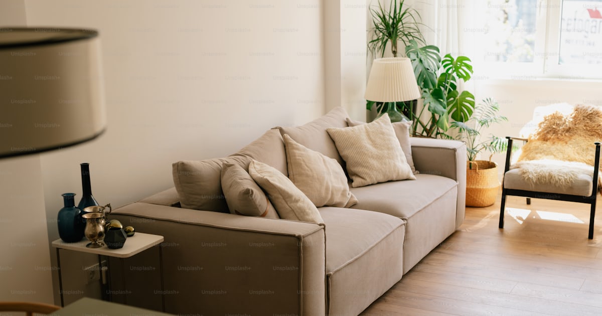 Světlý obývací pokoj s rostlinami a uklizeným prostorem po pravidelném eko úklidu