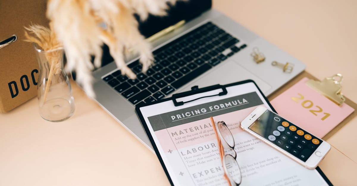 Structured cleaning service packages displayed on a laptop screen