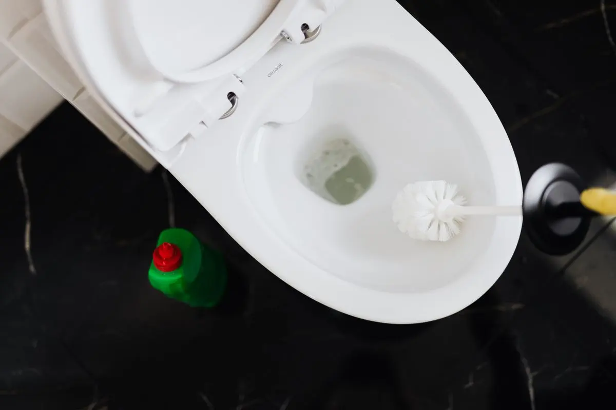 Člověk v rukavicích čistí vnitřek toaletní mísy WC kartáčem.