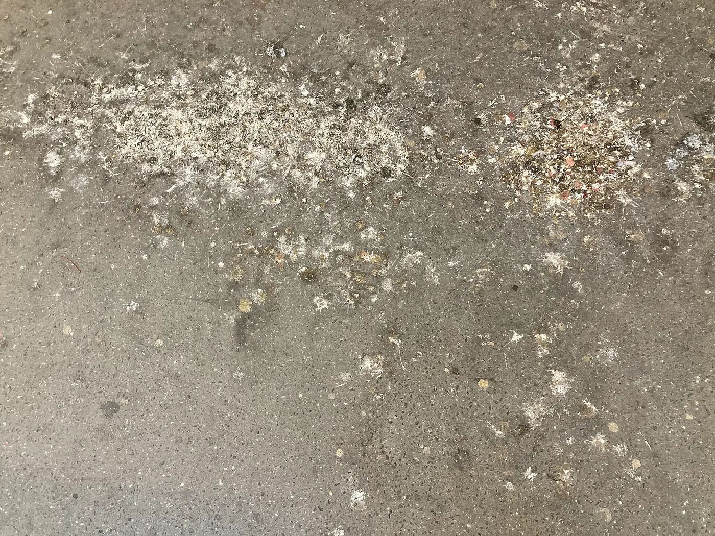 Znečištěná balkonová podlaha s holubím trusem a prachem.