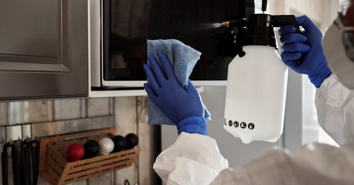 Cleaning an oven and handling detailed kitchen work that is usually charged separately